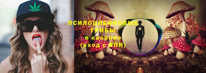 kraken зеркало  Горнозаводск  Псилоцибиновые грибы MAGIC MUSHROOMS 